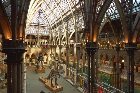 The Oxford University Museum of Natural History: Ein Paradies für Fossil-Fans und Architekturliebhaber!