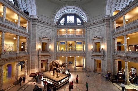  Das National Museum of Natural History: Ein Ort der Wunder und Entdeckungen in Washington, D.C.