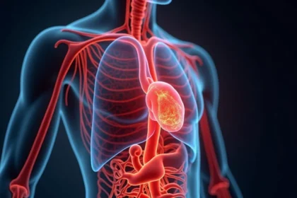 Ile litrów krwi ma człowiek? Odpowiedzi i ciekawostki